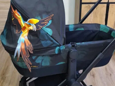 Test-Cybex
